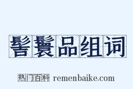 髻鬟品组词是什么意思的图片